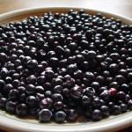 whinberries-plate
