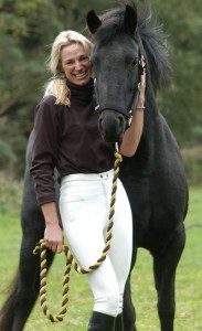 horse