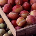 plum