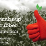 rubber gloves