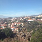 Mostly Madeira 035