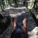 Mostly Madeira 099
